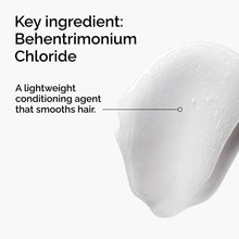 Key Ingredients Of The Ordinary Behentrimonium Chloride 2% Conditioner
