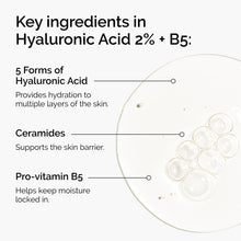 Hyaluronic Acid 2% + B5 Key Ingredients - Hyaluronic Acid, Ceramides, Vitamin B5